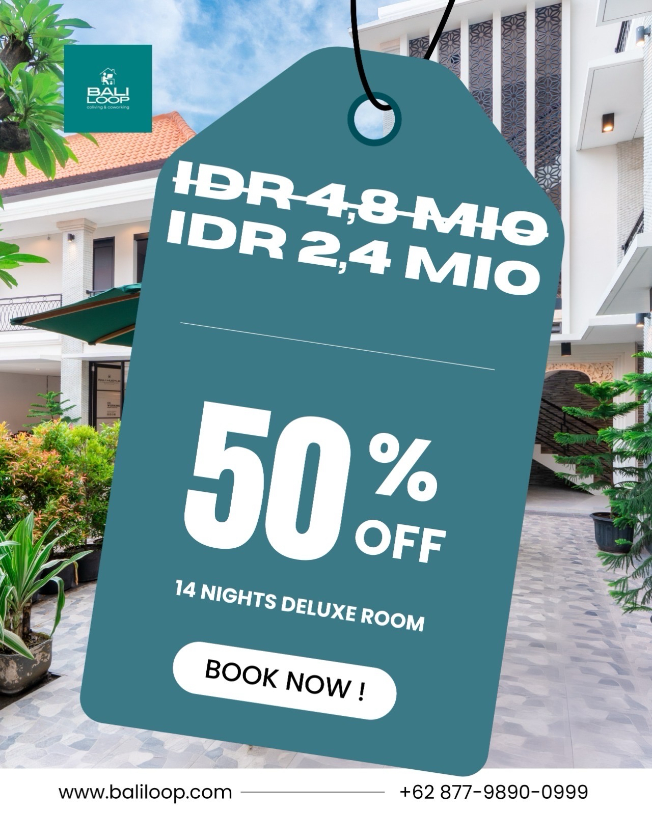 🌴 2 WEEK STAY — 50% OFF
