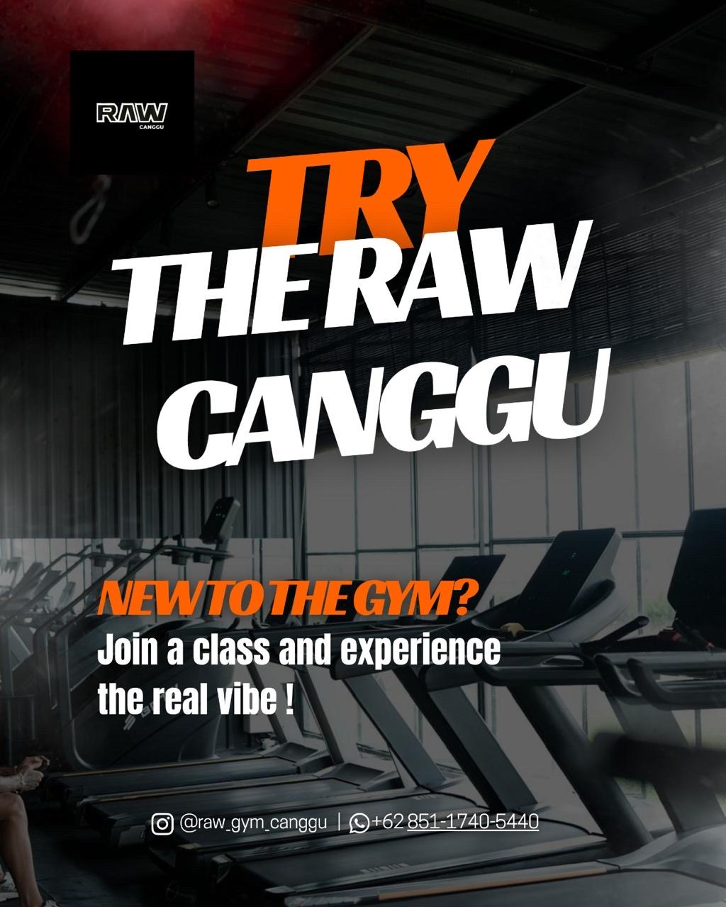 Try The RAW Canggu
